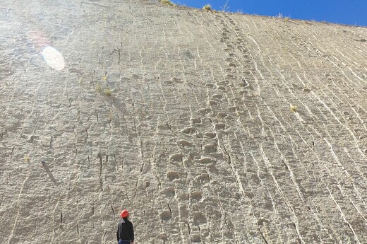 Tragovi dinosaura, ilustracija