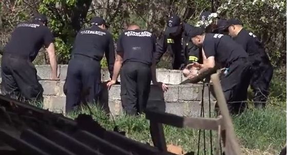 Potraga za Dankom Ilić