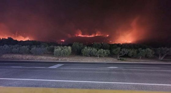 Fotografije s požarišta kod Trogira - 4