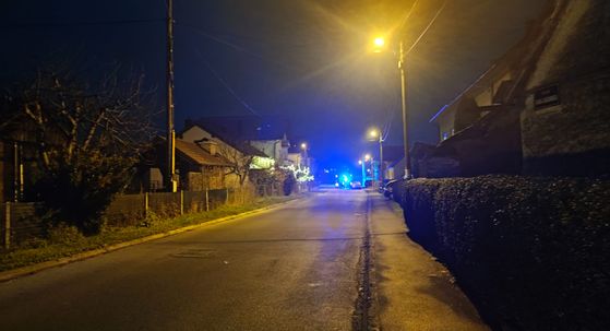 Pješak poginuo u naletu automobila u naselju Jošine
