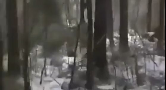 Vojnici na bojištu pjevali sovjetsku pjesmu