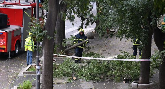 Vatrogasci uklanjaju polomljene grane