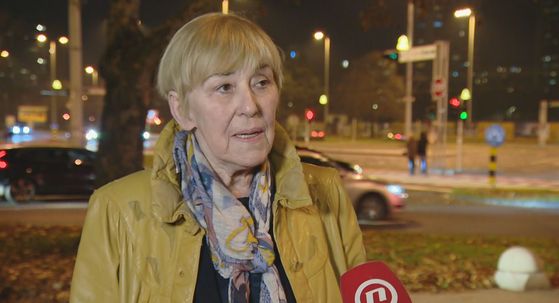 Sanja Sarnavka