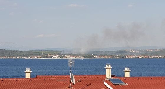 Požar u Sukošanu, gori borova šuma (Foto: Čitateljica)