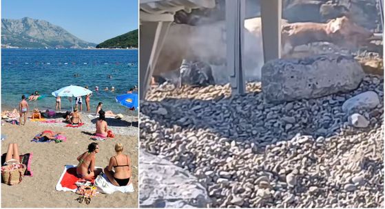 Pekli janje na plaži