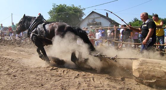 Štraparijada - 2