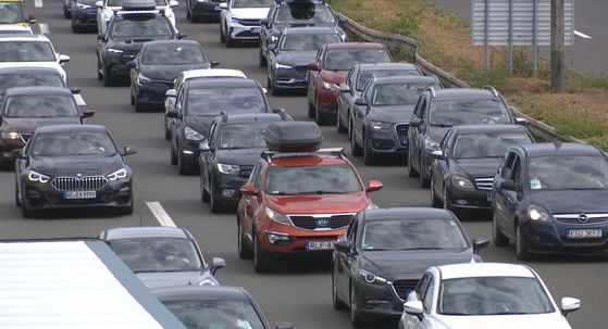 Gužve