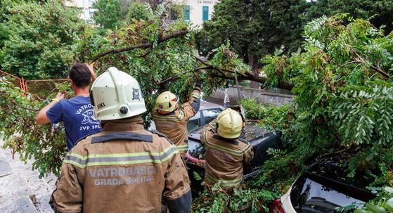 Jako nevrijeme u Splitu srušilo stablo na automobile - 2