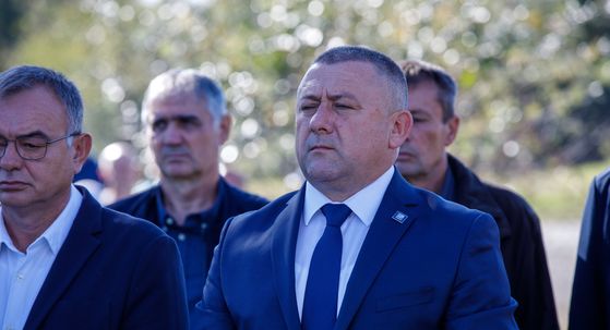 Damir Dekanić