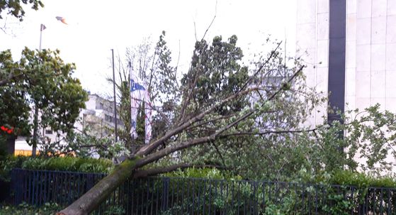 Nevrijeme u Zagrebu (Foto: Dnevnik.hr) - 3