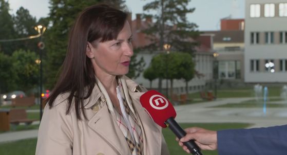Vesna Vučemilović, Hrvatski suverenisti