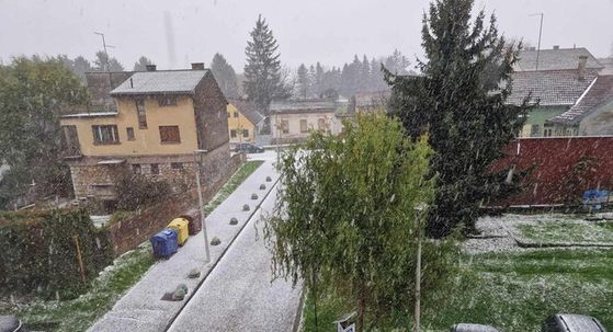 Snijeg u Daruvaru