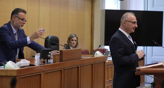 Goran Grlić Radman u Saboru