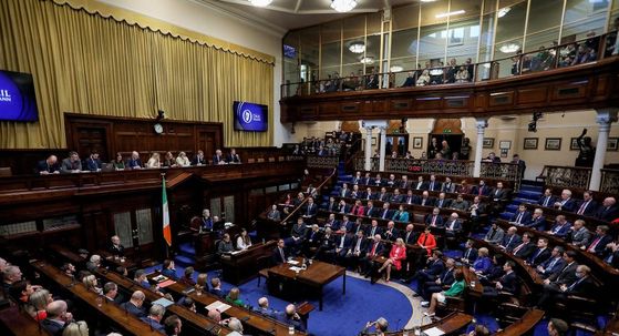 Irski parlament