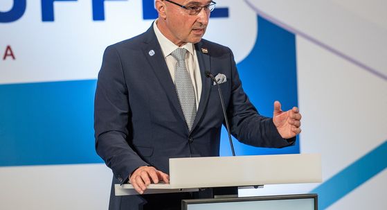 Gordan Grlić Radman