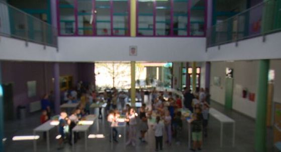 Škola