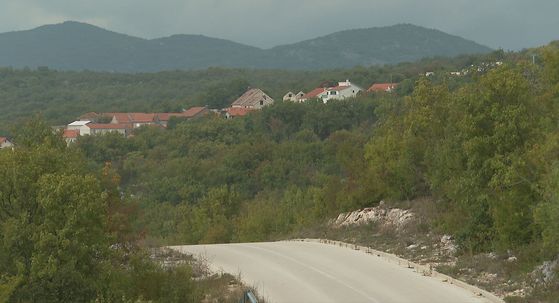 Krstatice - 2