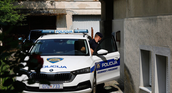 Policija, ilustracija