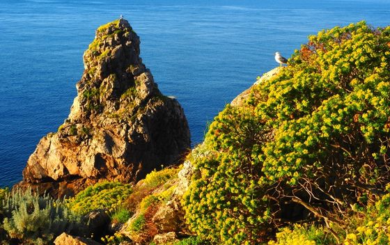 Palagruža u proljeće - 13