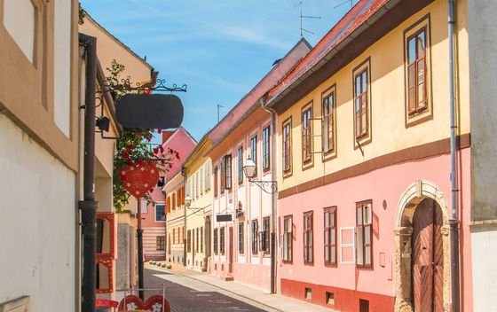 Dani okusa varaždinskoga kraja - 4
