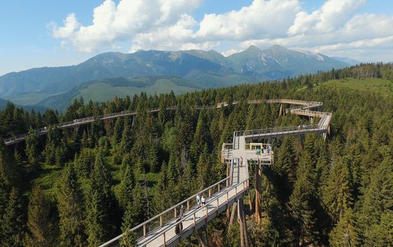 Treetop Walk Pohorje - 7