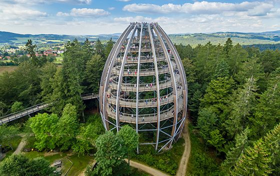 Treetop Walk Pohorje - 8