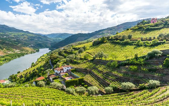 Portugal - 4