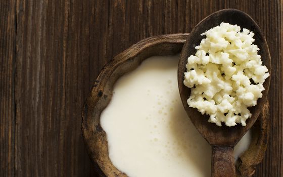 Kefir