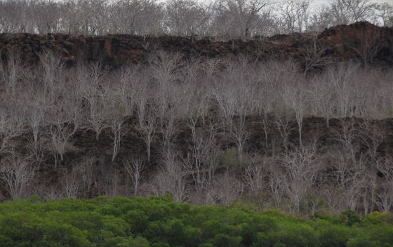 Galapagos - 3