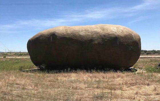 Big Idaho Potato Hotel - 4