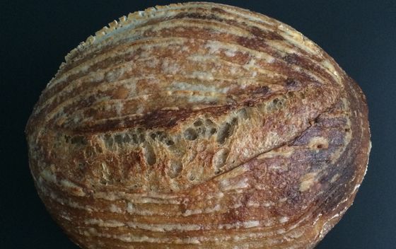 Sourdough - 1