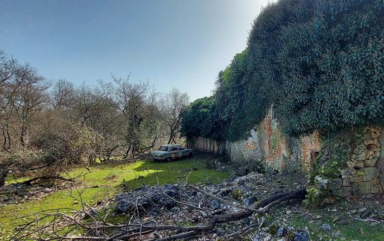 S Porozine na Beli u proljetnoj veljači - 4