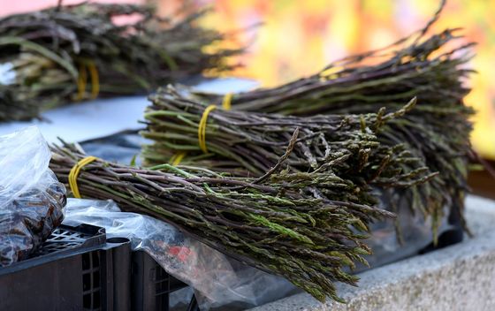 Šparoge sa šibenske tržnice