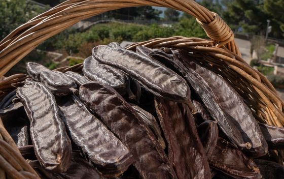 OPG Nebojša Božanić - 3