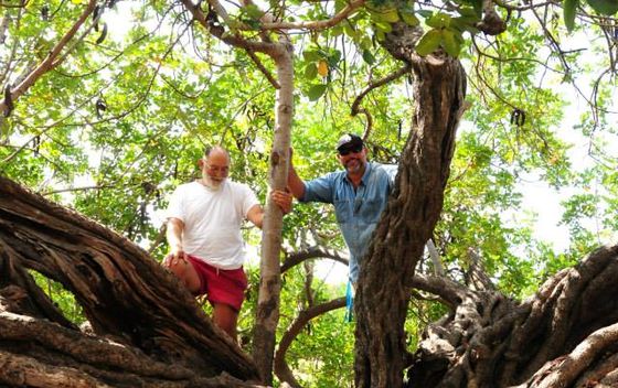 OPG Nebojša Božanić - 5