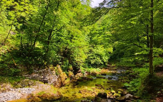 Gorski kotar - 3