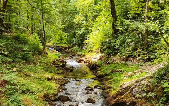 Gorski kotar - 4