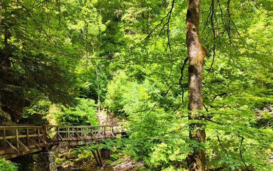 Gorski kotar - 5