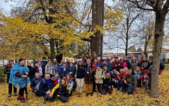 Camino Banovina - 21