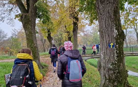 Camino Banovina - 22