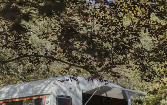 Plant market stiže na Branimirac - 2