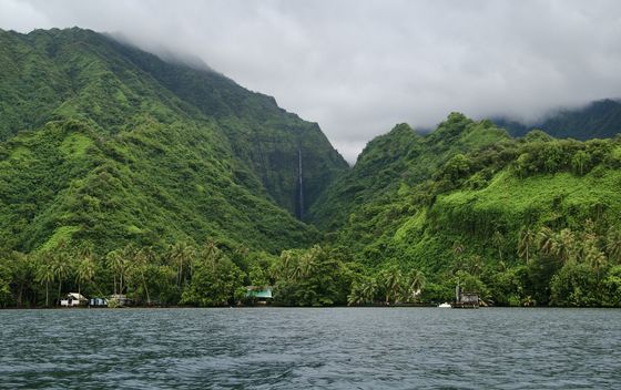 Mooreu i Tahiti - 36