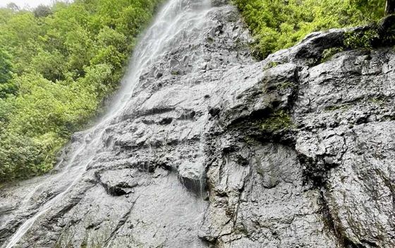 Mooreu i Tahiti - 37