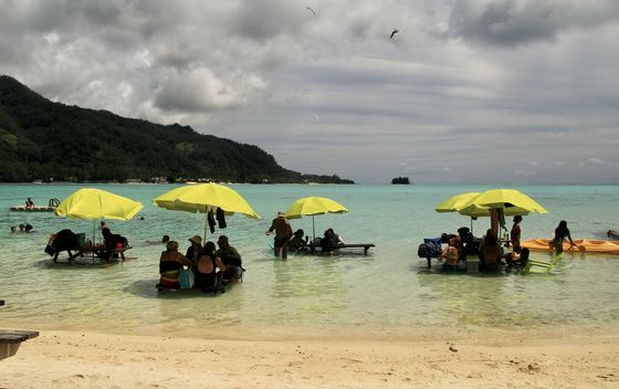 Mooreu i Tahiti - 38