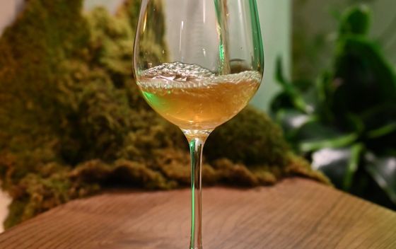 Sljubljivanje vina s hranom u zagrebačkoj Biomaniji