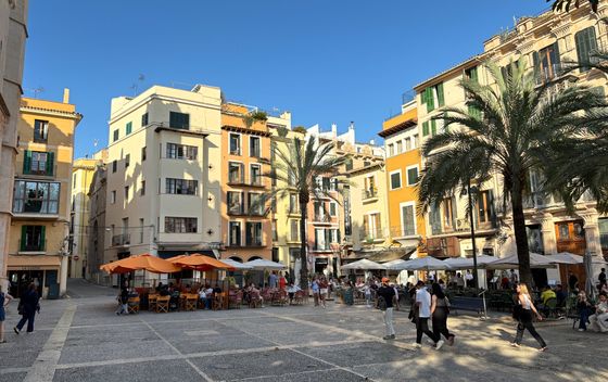 Palma de Mallorca - 20