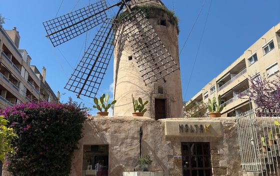 Palma de Mallorca - 22