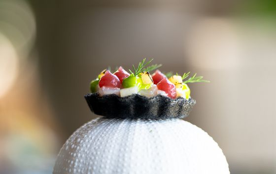 Pozdrav iz kuhinje - njihova izvedba ribe na savor