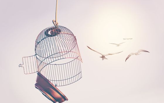 Kviz općeg znanja - 10