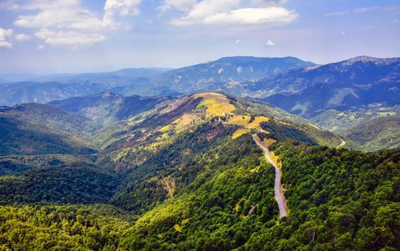 Kviz općeg znanja - 12